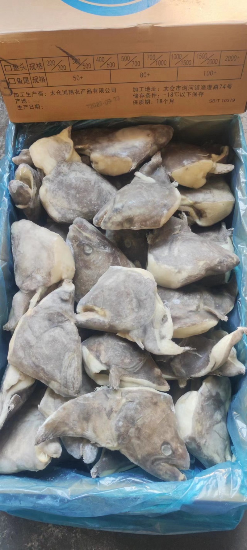 鰈魚(yú)頭