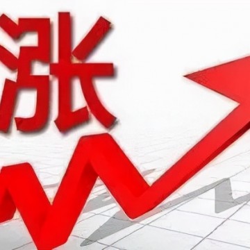 2024年10月22日 明日豬價(jià)逆勢反彈！